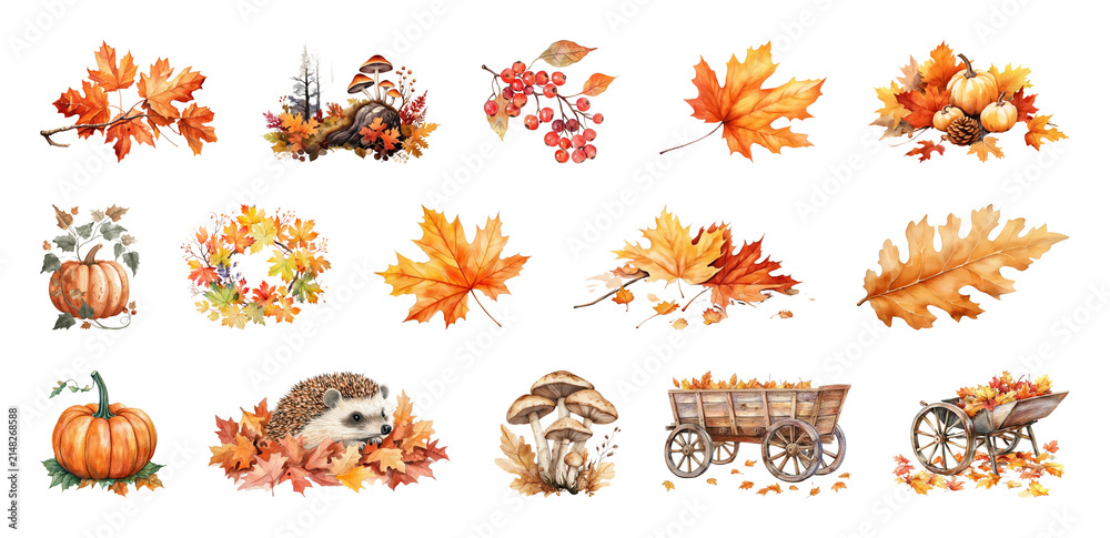 Obraz premium PNG Autumn elements: leaves, pumpkins, hedgehog, mushrooms, transparent background