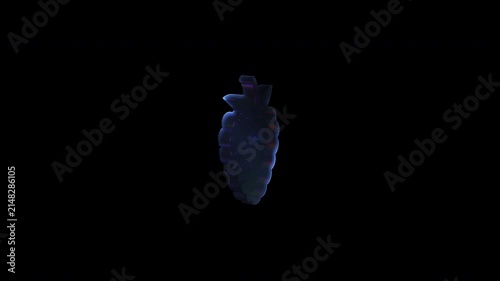 Holographic spinning raspberry fruit animation concept