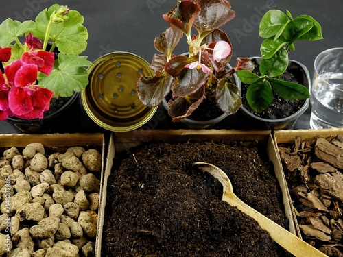 Flower potting mix, drainage materials, bark are on a black background. Houseplant repotting materials. Flower transplanting.
