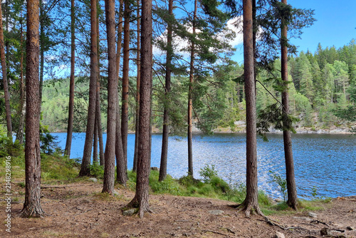 Nature