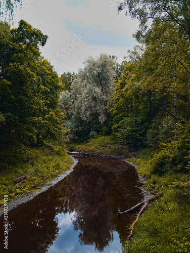 Bild auf Leinwand bed of river in the Leningrad region