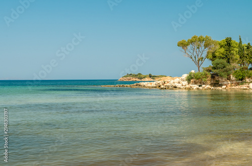 Beautiful scenic mediterranean sea coast landscape with turquoise water rocky shore and green pine trees on a sunny summer day close up.
