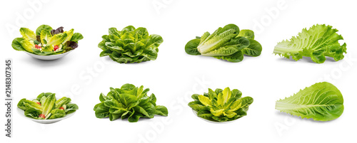 A collection of images showcasing various heads of romaine lettuce. The lettuce is presented in different arrangements, including a bowl of mixed greens and individual leaves.