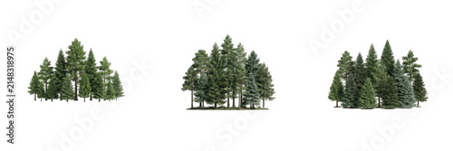 Isolated pine and fir tree forest clusters PNG, high resolution evergreen conifer woodland groups on transparent background, natural landscape elements for architectural visualization, game design, an