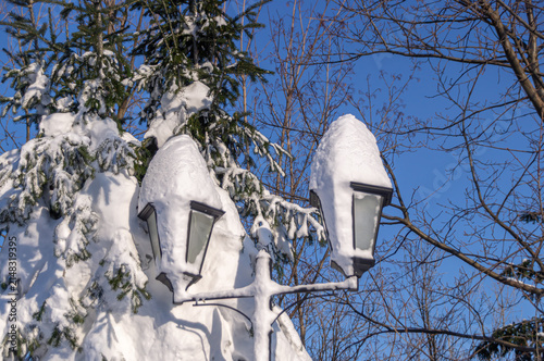 Snow-covered street lights and fir trees. Snowdrifts covered the ancient lanterns and trees in the park. Winter frosts and heavy snowfall.