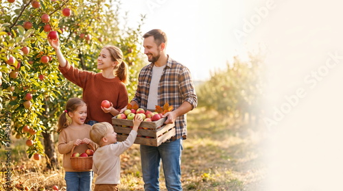 Happy family enjoying apple picking during autumn harvest in orchard