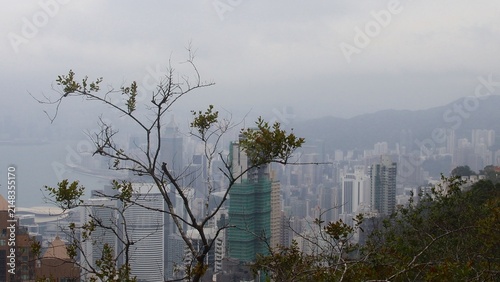 Foggy cityscape view of Hong Kong with skyscrapers and trees in the foreground during the winter