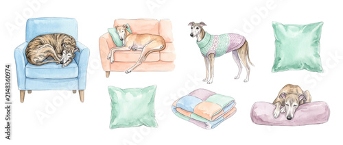 Watercolor greyhound dog whippet clipart set featuring cute sighthound sleeping on armchair sofa wearing cozy sweater with pillows and blanket for interior home decor design isolated on background