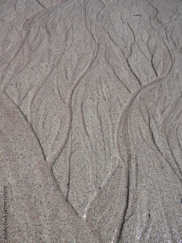 Foto Patterns made by rivulets of water over sand
