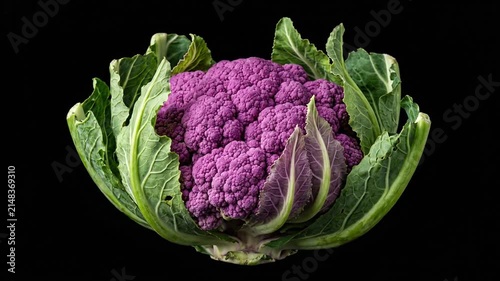 Vibrant Purple Cauliflower Head Surrounded by Green Leaves on Black Background