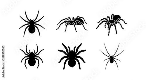 Spider Silhouettes Collection, Arachnid Icons Set, Black Insect Vector Graphics for Halloween and Science