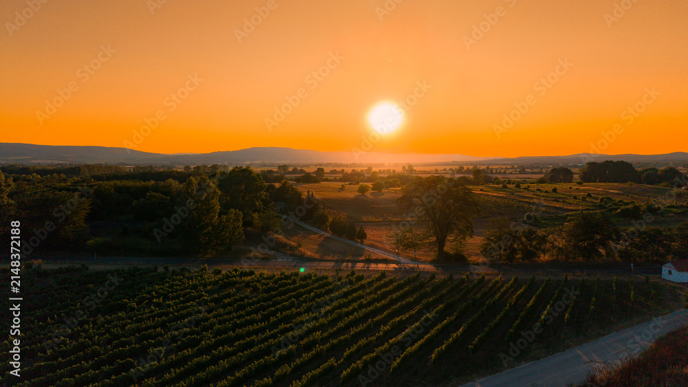 Obraz premium Vibrant sunset above agricultural vineyard rows. Intense orange glow covers the horizon over green fields and country terrain.