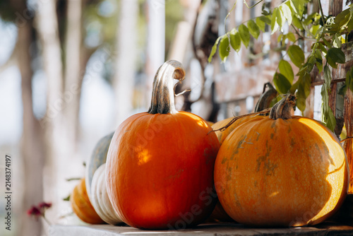 A bench with assorted pumpkins