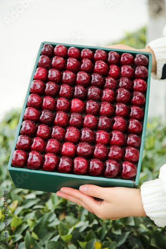 Premium Red Cherries in Gift Box from Yantai Shandong - Fresh Chilean Quality Fruit Import Display