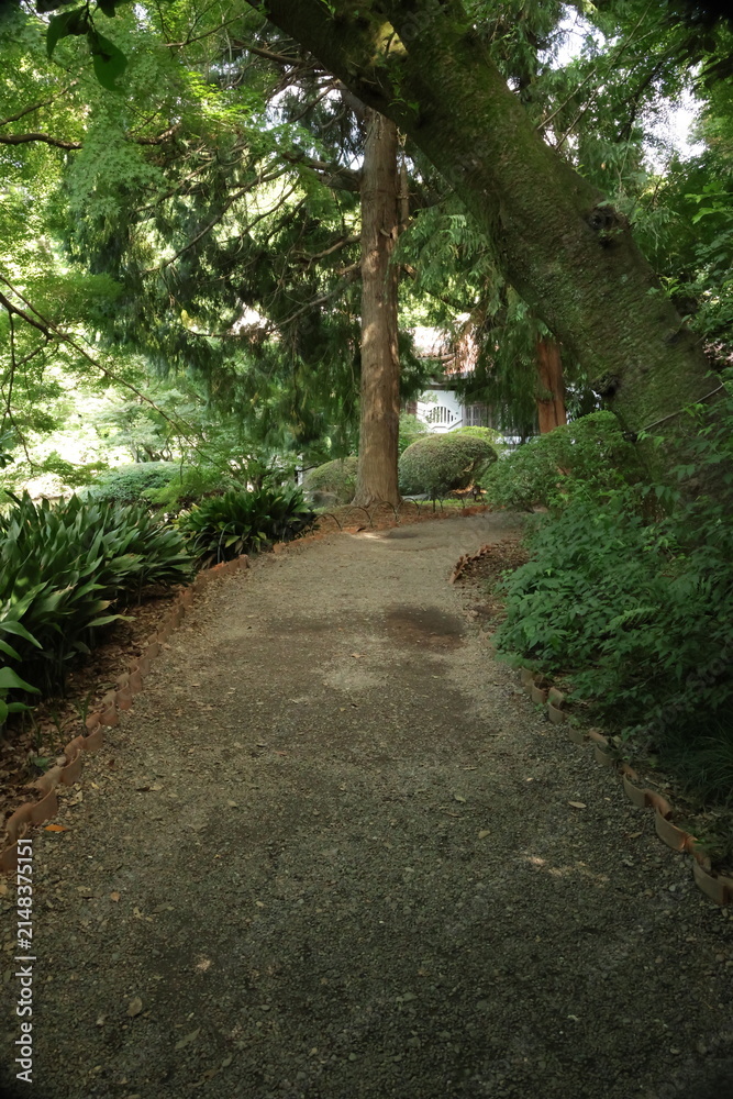 Fototapeta premium Gravel path through lush garden under canopy outdoor recreation