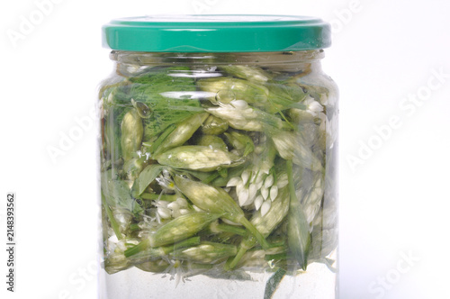wild garlic flower bud in lacto fermented