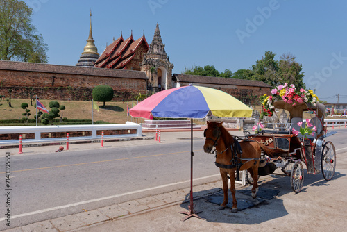 Obraz na plátně Un peu d'ombre sous parasol pour le bien être animal lors de la visite de Lampang en  Calèches, Thaïlande