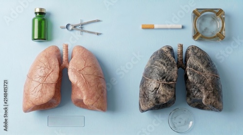 Comparison of healthy pink and dark damaged lungs for respiratory education, medical pulmonary health, healthcare awareness spirit