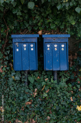 blue  mailbox with white number on the wall with green leaves