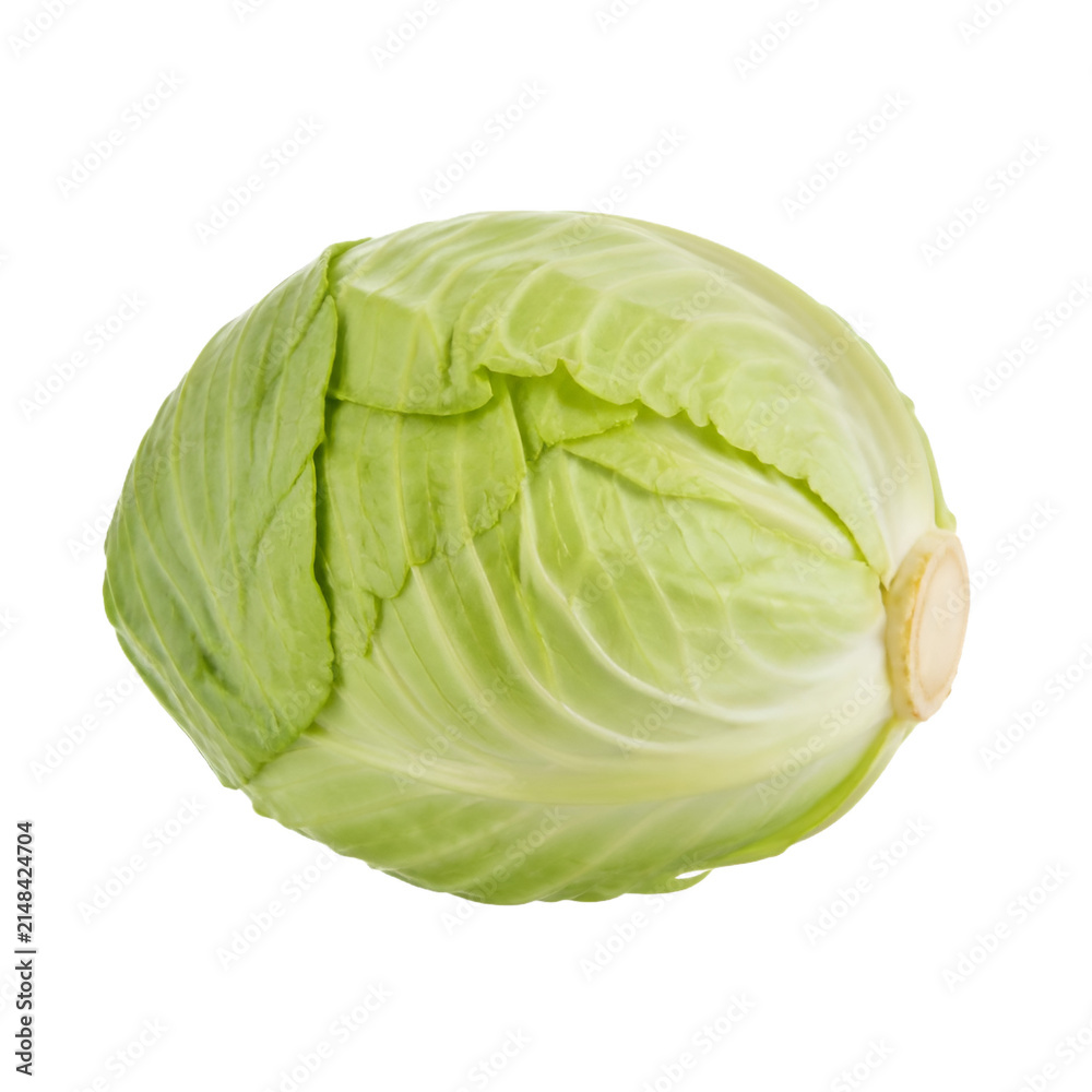 Fototapeta premium Fresh Organic Green Cabbage Vegetable Head for Nutritious Cooking and Healthy Diet Food Recipes