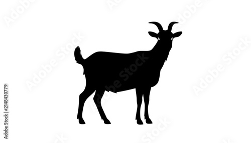 Black silhouette of a goat standing on a white background