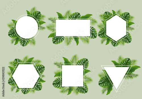 Collection Frame With Tropical Palm Leaves