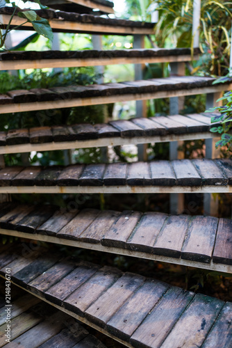 Outdoor wood staircase with a wet, lush greenery