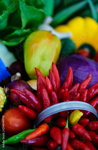 Fotografie Fresh vegetables and chilies arranged in a basket during a local market visit in
