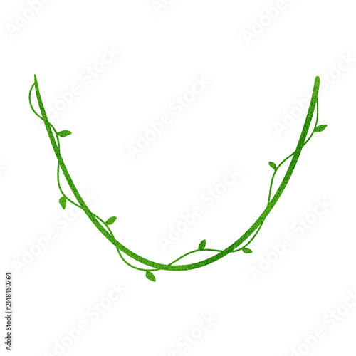Vine creeping leaves element decoration illustration 