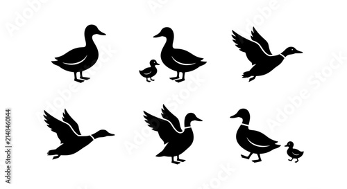 Duck Silhouettes Vector Icons Set, Flying and Standing Waterfowl Graphics, Cute Duckling Companions, Wildlife Bird Collection
