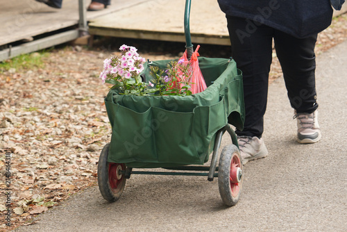 Person pulling garden wagon carrying flowering plants through outdoor nursery pathway