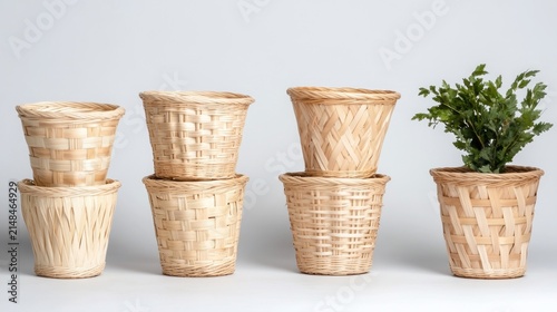 Group of Wicker Plant Pots with One Containing a Green Plant.