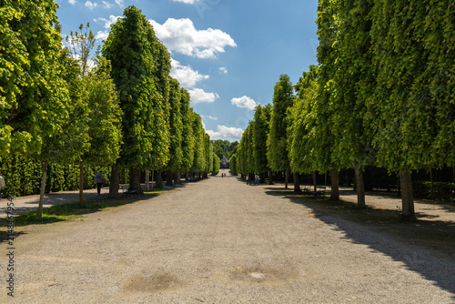 Картината върху платно Meticulously manicured tree-lined pathways of the Schönbrunn Palace gardens in V