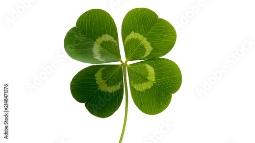 Quadro su tela Vibrant green four-leaf clover with distinct markings, isolated on transparent b
