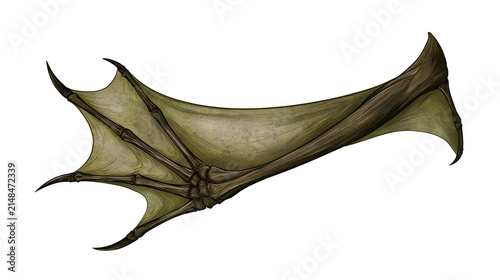 Foto Detailed reptilian wing with sharp claws and leathery membrane, isolated on tran
