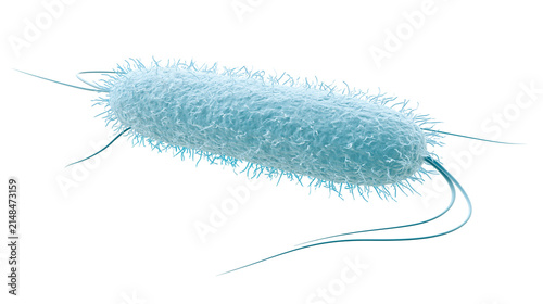 Bild auf Leinwand Rod-shaped bacterium with flagella and fimbriae, isolated on transparent backgro