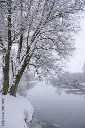 winter landscape on the river