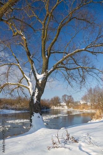 winter landscape on the river