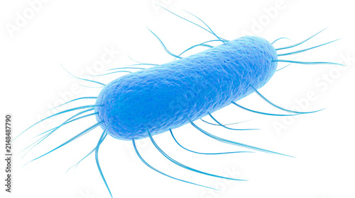 Foto Blue rod-shaped bacterium with flagella, isolated on transparent background