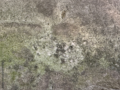 Принти на полотні Distressed mossy concrete texture background