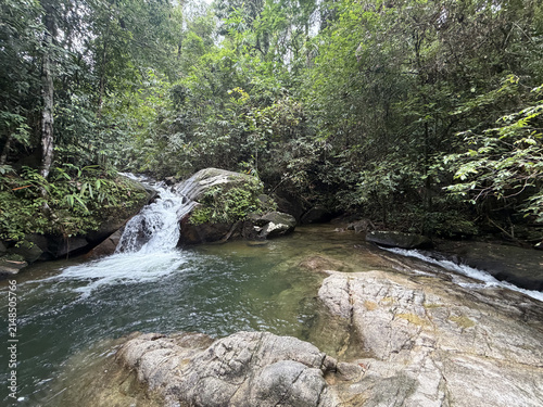Small waterfall cascading over rocks into a clear pool in a dense green forest. Natural jungle stream landscape with flowing water and large boulders