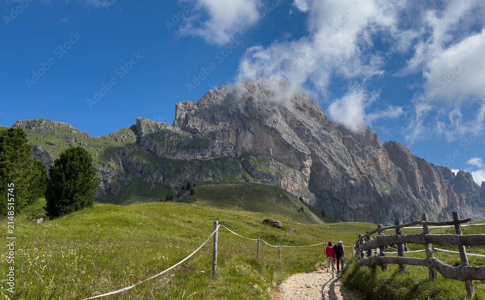 Obraz premium Idyllic mountain landscape in the Alps with blooming meadows, Alpe di Cisles, Seceda Ridgeline, Dolomiti , Pieralongia, Col Raiser