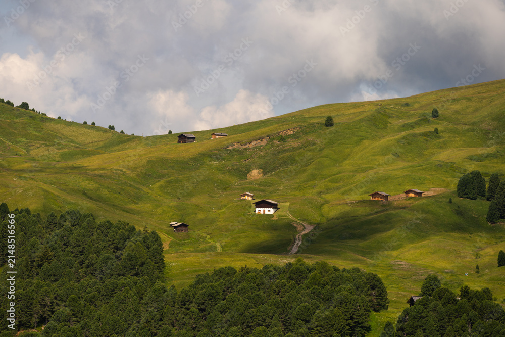 Obraz premium View of beautiful landscape in the Alps with fresh green meadows and mountain tops in the background on a sunny day with blue sky and clouds in summertime. Alpe di Cisles, Seceda Ridgeline, Dolomiti ,