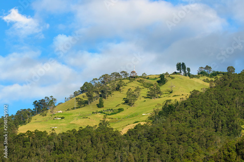 Ecuadorian Andean Landscape with Lush Green Hills, Dense Forests, and a Blue Sky Dotted with White Clouds