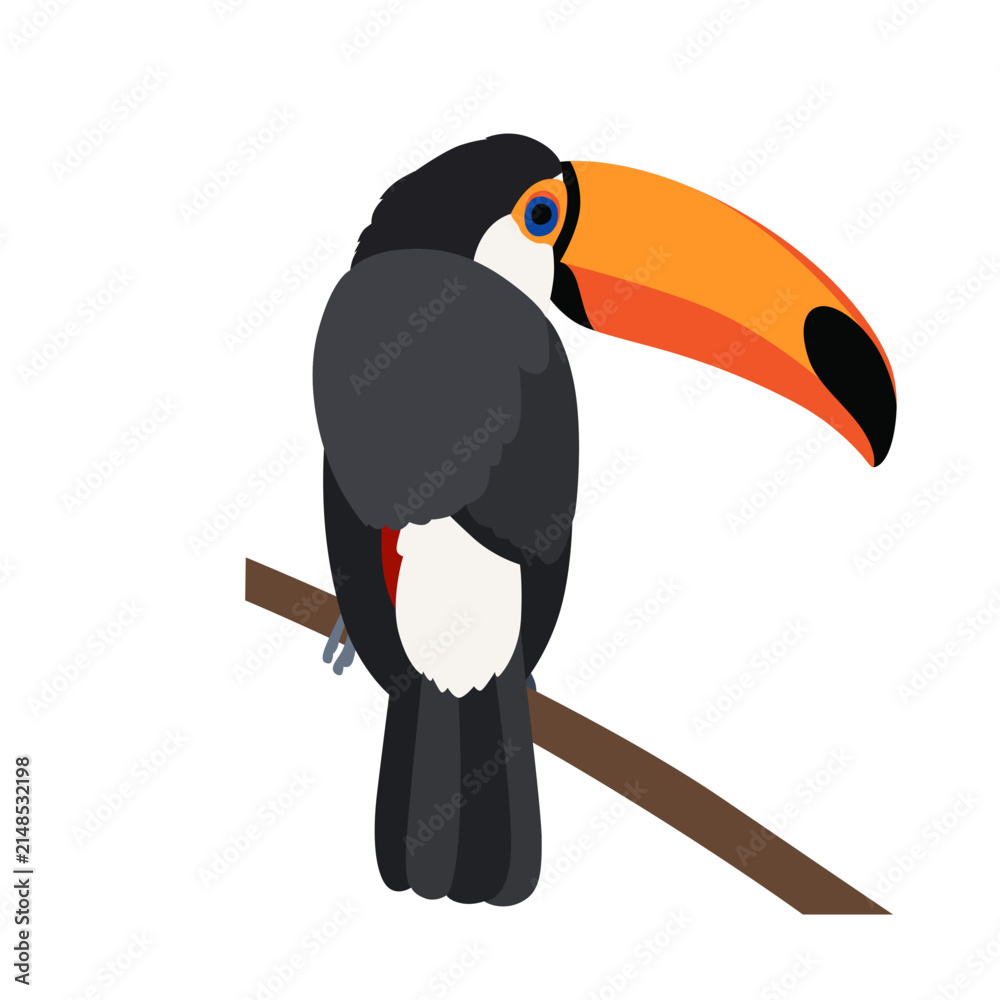 Obraz premium Toucan bird perched on branch in tropical rainforest with colorful beak and plumage