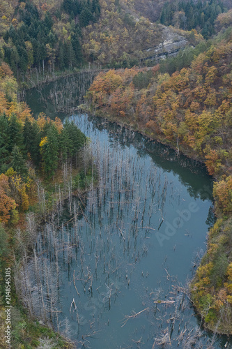 Aerial view of Lago di Poggio Baldi featuring submerged dead trees in the calm water surrounded by a dense autumn forest with colorful foliage in Santa Sofia, Emilia-Romagna, Italy.