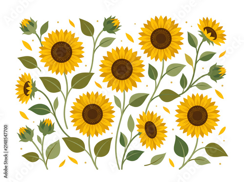 Bright yellow sunflowers in a row illustration isolated on transparent background