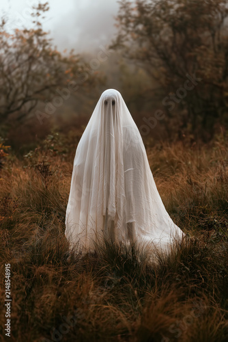 Ghostly Figure in Translucent White Sheet Standing in Foggy Autumn Field with Dry Grass and Haunting Spectral Atmosphere. Copy Space, Aspect Ratio Vertical 2:3