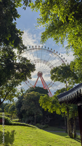Fotografie Ferris Wheel Framed by Tropical Trees in Nha Trang Vietnam
