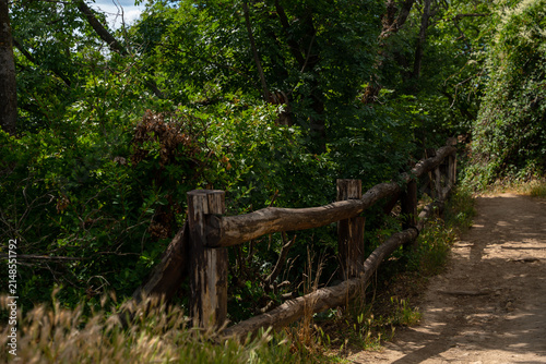 Wooden fence alongside a scenic forest hiking trail in Budapest Hungary on a sunny summer day surrounded by green trees